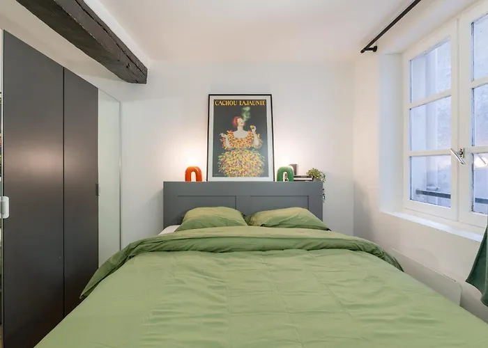 Bright Modern Vintage Renovated Flat In Le Marais *